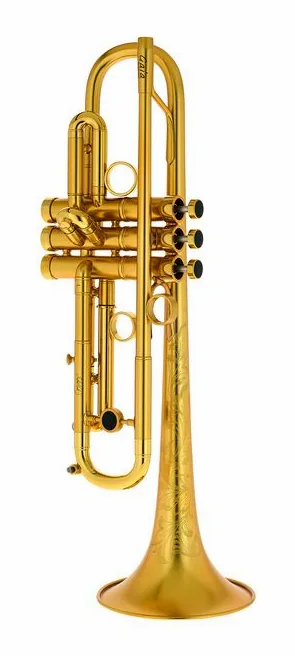 InstruVents Brass Gaia Bb-Trumpet, vue 2