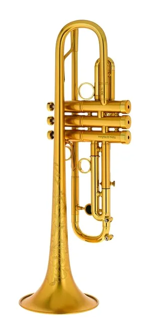InstruVents Brass Gaia Bb-Trumpet, vue 3