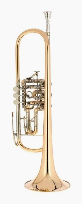 Johannes Scherzer 8218W-L Bb Trumpet, vue 2