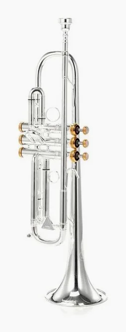 Kühnl & Hoyer Spirit MAW Bb-Trumpet silver