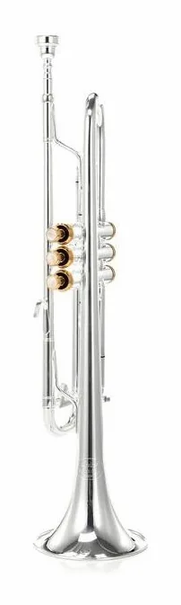 Kühnl & Hoyer Spirit MAW Bb-Trumpet silver, vue 2