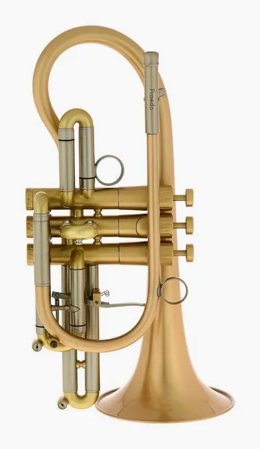 Martin Böhme Praedo Bb-Cornet