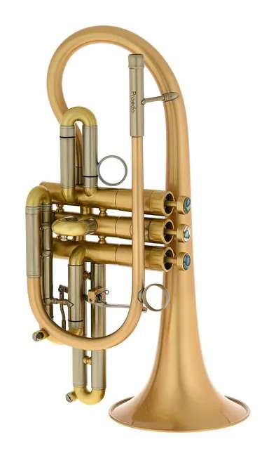 Martin Böhme Praedo Bb-Cornet, vue 2