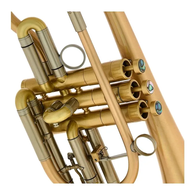 Martin Böhme Praedo Bb-Cornet, vue 4