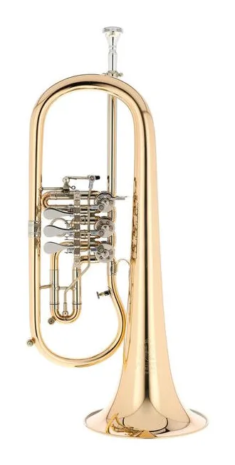 Melton MWF12GT-L Flugelhorn, vue 2