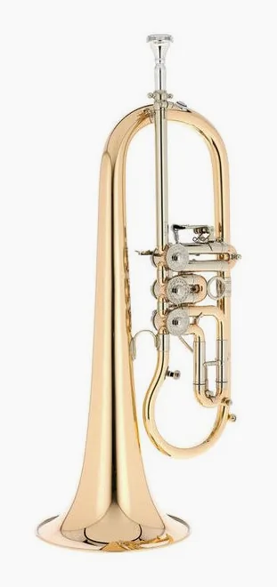 Melton MWF12GT-L Flugelhorn, vue 3