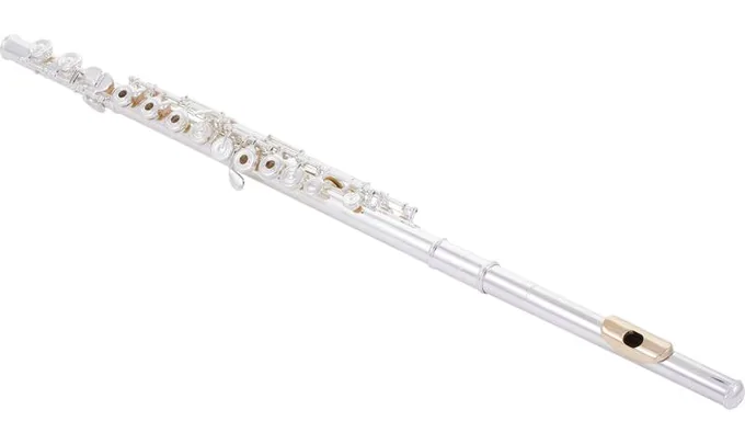 Pearl Flutes Dolce 695 RE - Vigore, vue 2