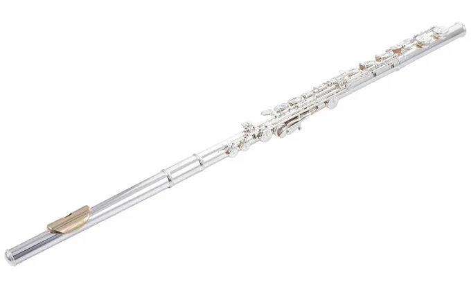 Pearl Flutes Elegante 795 RE - Vigore, vue 2