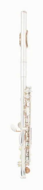 Philipp Hammig 650/10 Piccolo Flute, vue 3