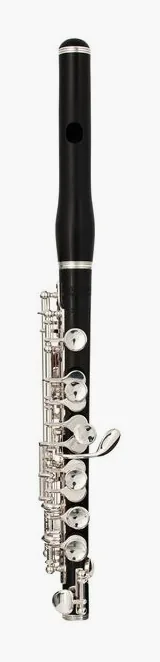 Philipp Hammig 650/2 Piccolo Flute, vue 2