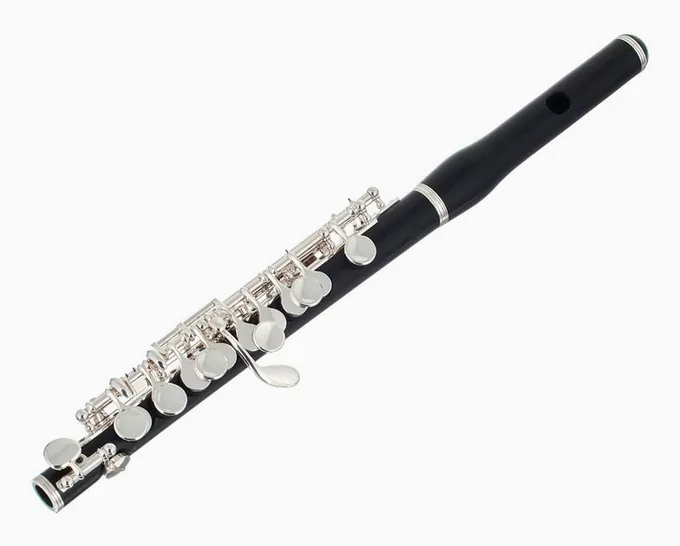 Philipp Hammig 650/2 Piccolo Flute, vue 4