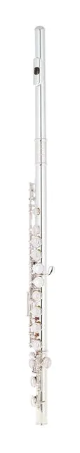 Powell Sonare PS 101 CEA Flute, vue 2