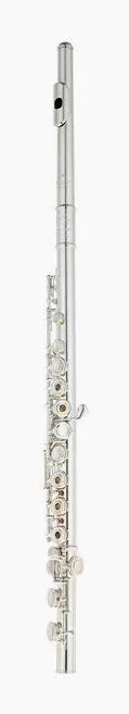 Powell Sonare PS 501 CEF Flute, vue 2
