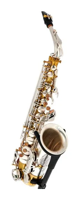 Rampone & Cazzani Two Voices Alto Sax OTS, vue 3