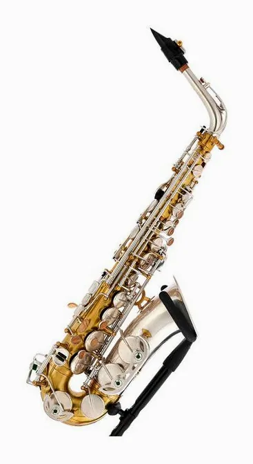 Rampone & Cazzani Two Voices Alto Sax OTS, vue 4