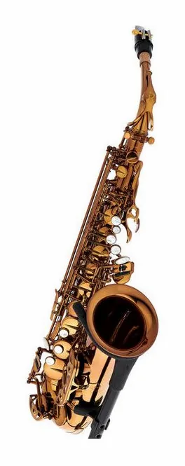 Rampone & Cazzani Performance Line Alto Sax, vue 3