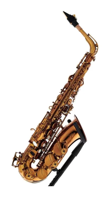 Rampone & Cazzani Performance Line Alto Sax, vue 4