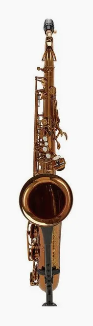 Rampone & Cazzani Performance Line Tenor Sax, vue 2