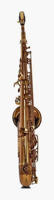 Rampone & Cazzani Performance Line Tenor Sax, vue 4