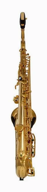 Rampone & Cazzani R1 Jazz Tenor Sax AU, vue 4