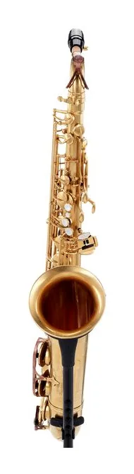 Rampone & Cazzani Solista Tenor Sax, vue 2
