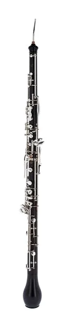 Rigoutat English Horn Riec, vue 2