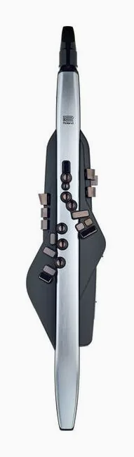 Roland Aerophone Pro AE-30, vue 2