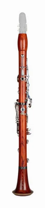 RZmagoo Clarinets Heirassa Hyb Bb-Clarinet 18/6, vue 2