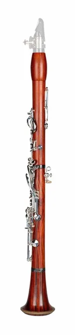 RZmagoo Clarinets Heirassa Hyb Bb-Clarinet 18/6, vue 3