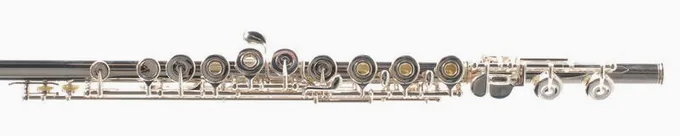 Sankyo CF 401 RE Flute, vue 2