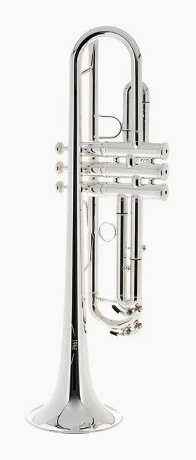 Schagerl "1961" Bb-Trumpet B2G4 S, vue 3