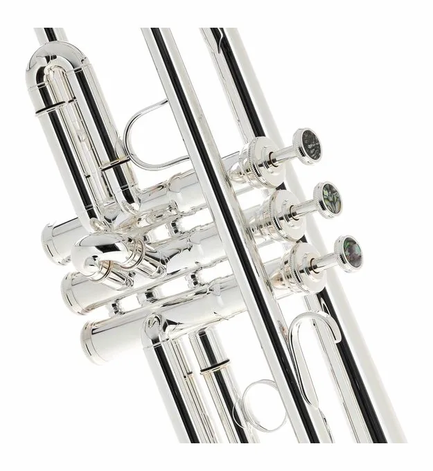 Schagerl "1961" Bb-Trumpet B2G4 S, vue 4