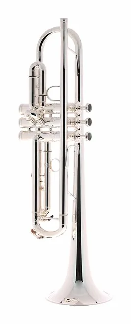 Schagerl "1961" Bb-Trumpet B2N S, vue 2