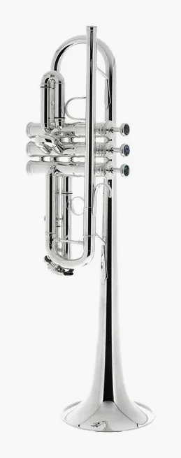 Schagerl "1961" C-Trumpet S, vue 2