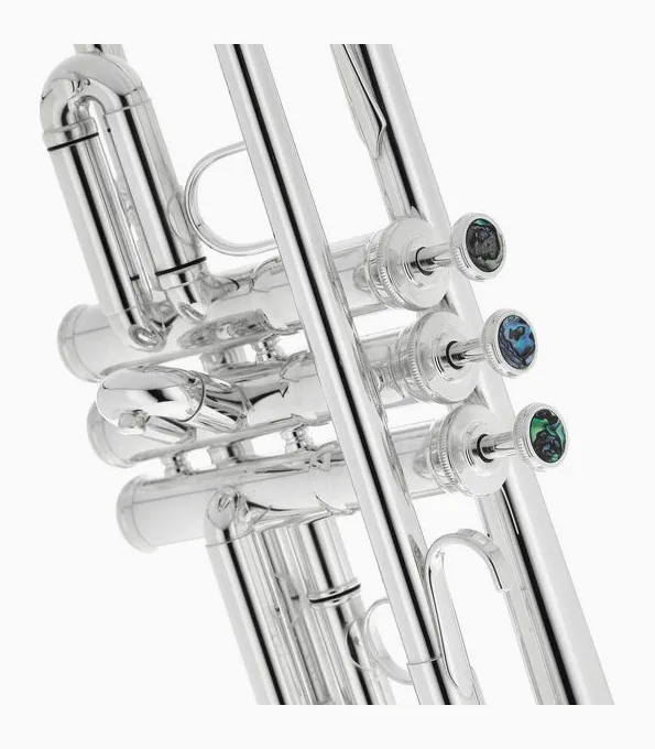 Schagerl "1961" C-Trumpet S, vue 4