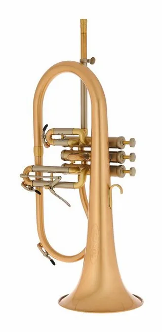Schagerl "AGLAEA" Bb- Flugelhorn, vue 2