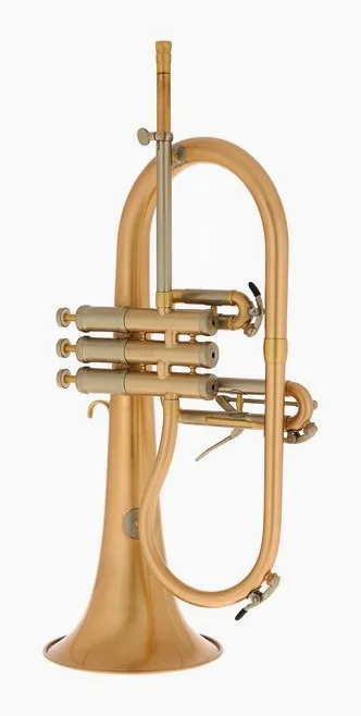 Schagerl "AGLAEA" Bb- Flugelhorn, vue 3