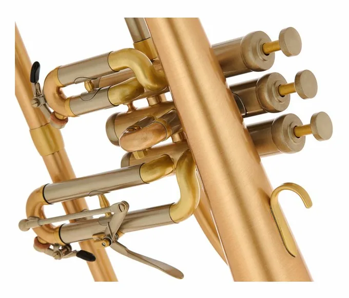 Schagerl "AGLAEA" Bb- Flugelhorn, vue 4