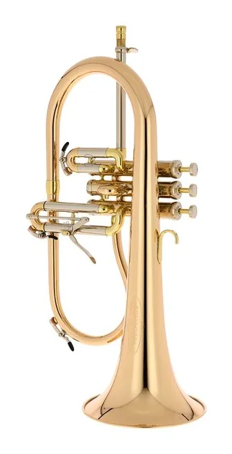 Schagerl "AGLAEA" Bb- Flugelhorn L, vue 2