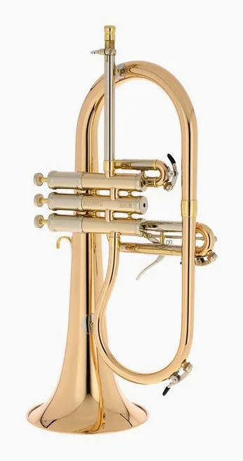 Schagerl "AGLAEA" Bb- Flugelhorn L, vue 3