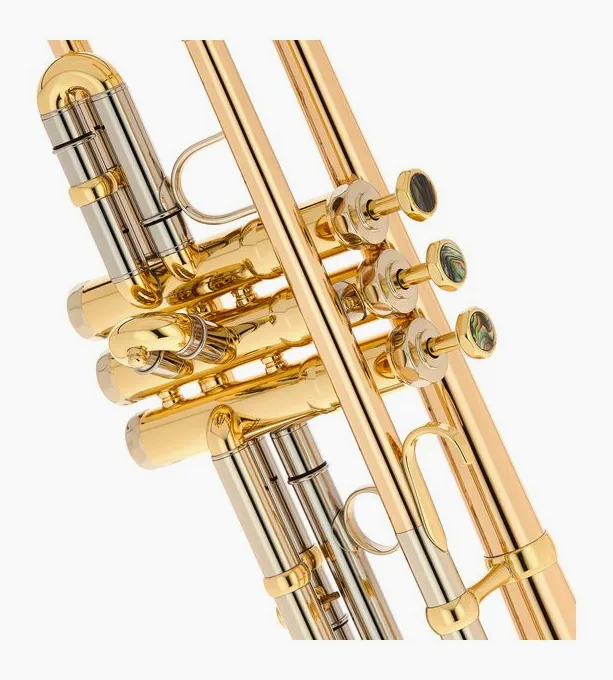 Schagerl "AGLAEA" Bb- Trumpet L, vue 4