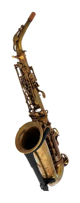 Schagerl Alto Sax 66FV-EC
