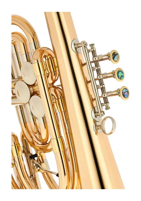 Schagerl Bass trumpet Wunderhorn V raw, vue 3