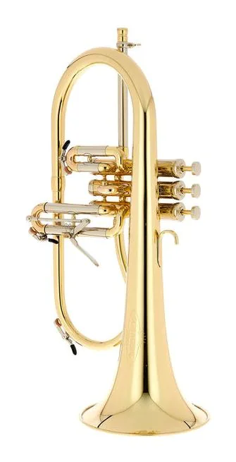 Schagerl Dione Flugelhorn, vue 2