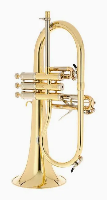 Schagerl Dione Flugelhorn, vue 3