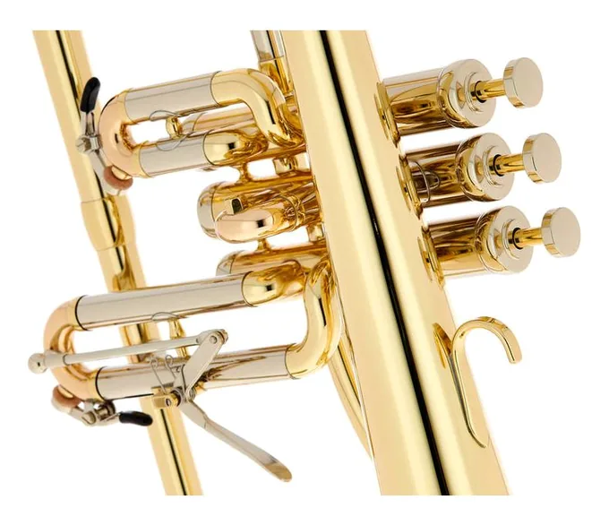Schagerl Dione Flugelhorn, vue 4