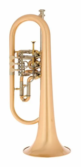 Schagerl Hans Gansch Flugelhorn scratch
