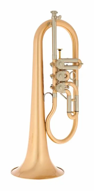 Schagerl Hans Gansch Flugelhorn scratch, vue 3