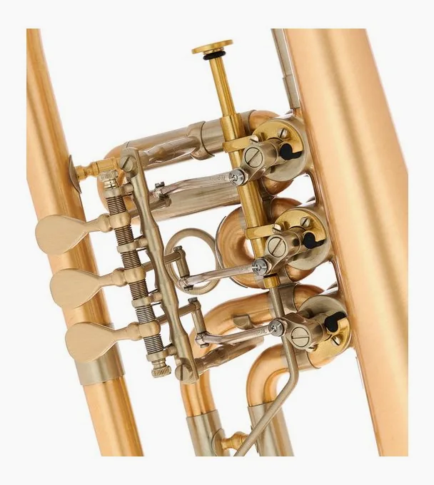 Schagerl Hans Gansch Flugelhorn scratch, vue 4