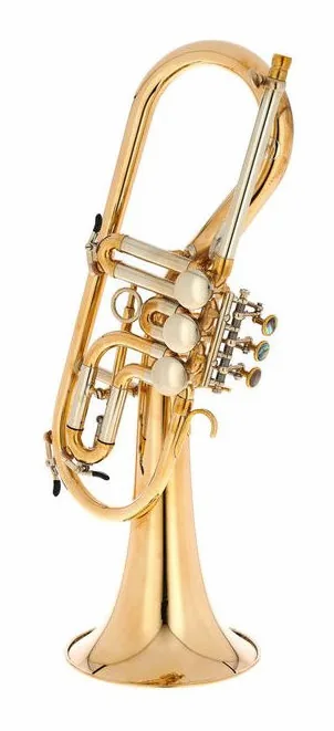 Schagerl Killerqueen "Z" Flugelhorn UL, vue 2